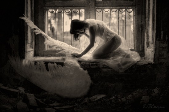 To Create a Wonder out of Man