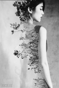 9c061cb62ac36fe12b4bf6f9cca8248f[1]